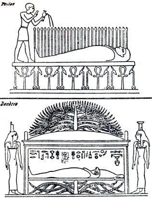      -  (- ' ',  -      )